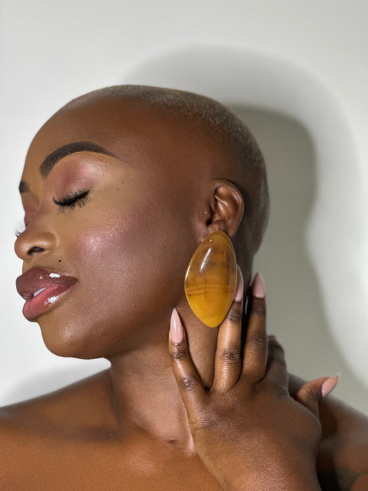 Shades of Brown Earrings